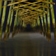 Image for article titled Motion Gallery 2